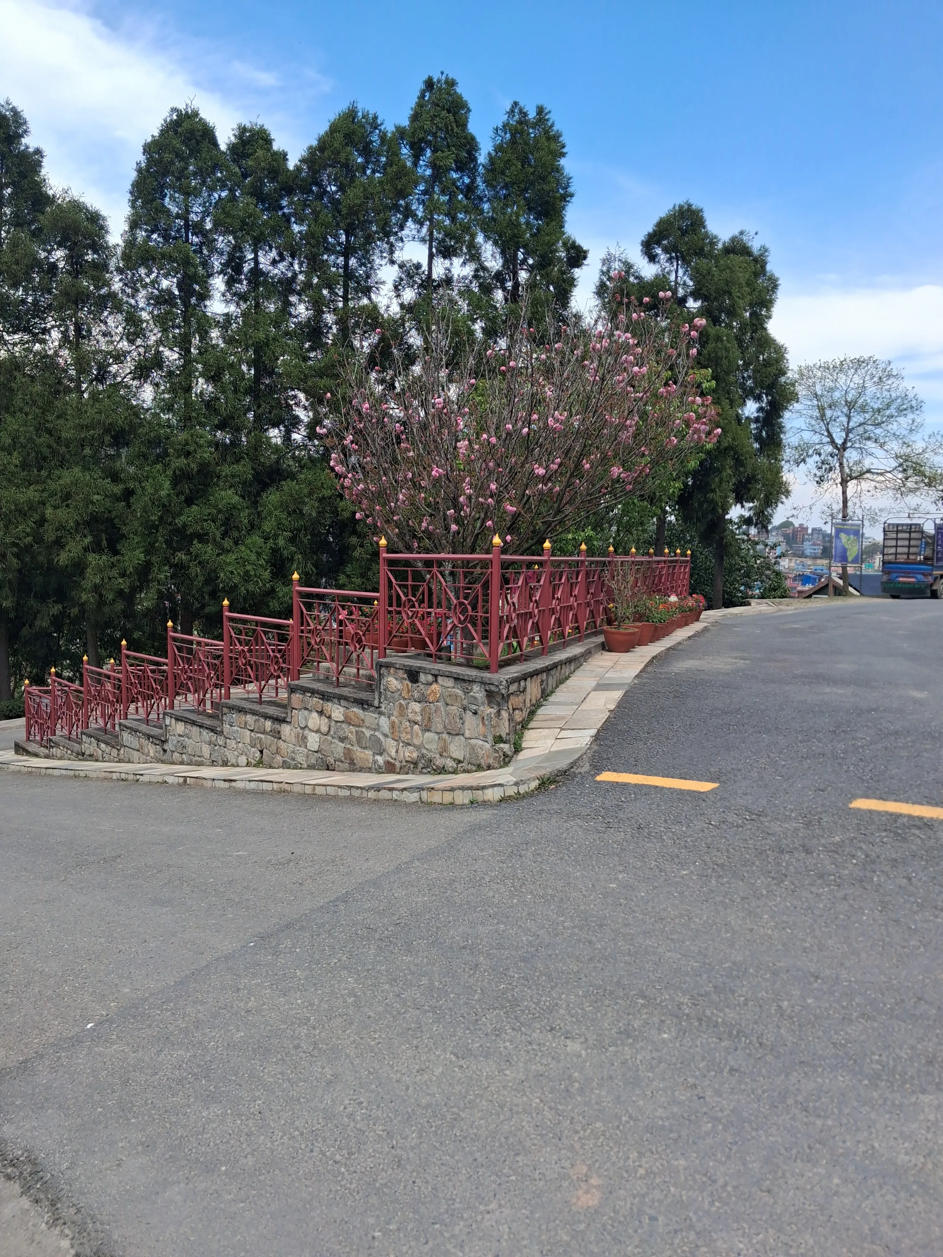 KU Dhulikhel campus road with flowering trees